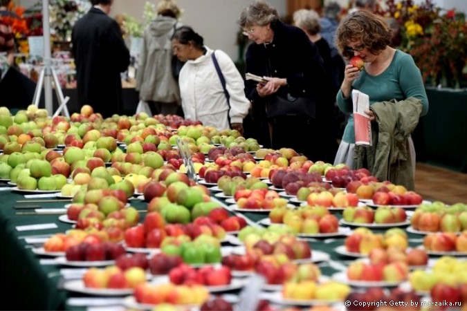 Лондонский осенний урожай королевского садоводческого общества (Royal Horticultural Society) в Лондоне, Англия, 6 октября 2010 года.