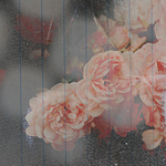  (150x150, 44Kb)