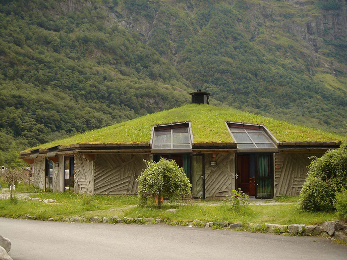 фото зеленые крыши