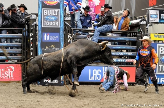 Профессиональные Bull Riders (PBR) на Таймс-сквер в Нью-Йорке, 15 октября 2010 года.