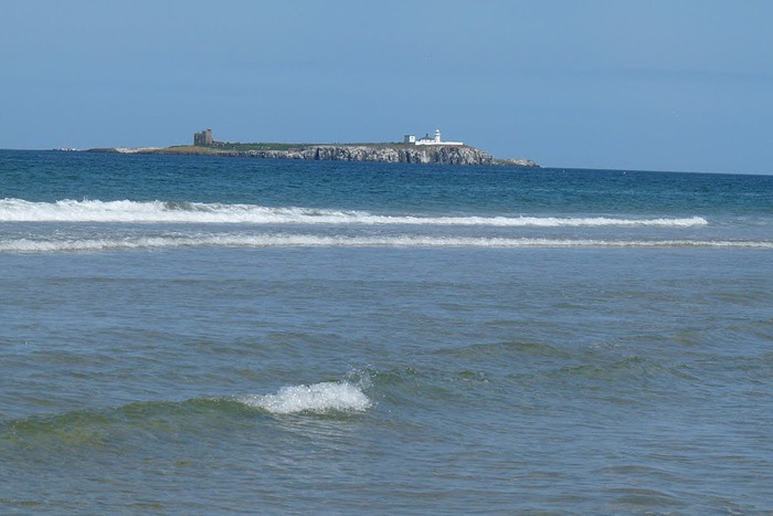 Farne Islands 58788