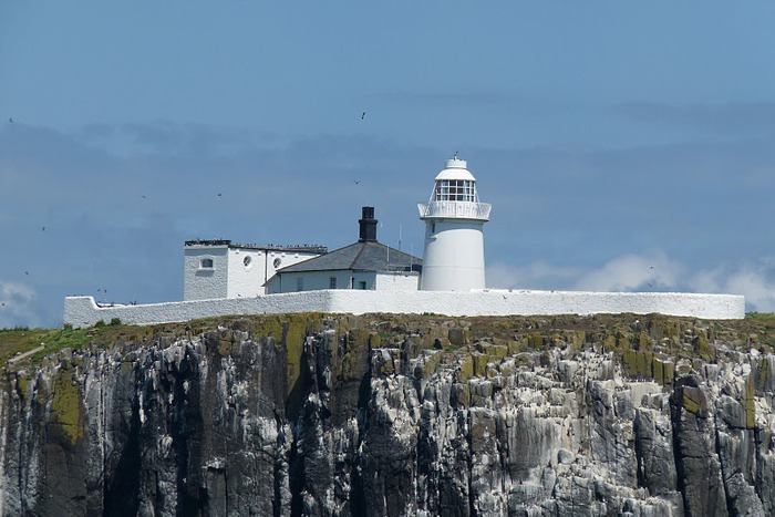 Farne Islands 24015