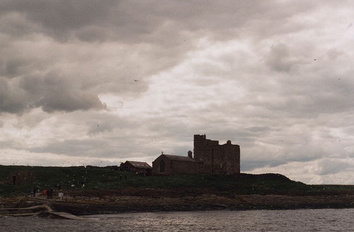 Farne Islands 94104