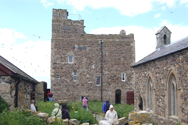 Farne Islands 10060