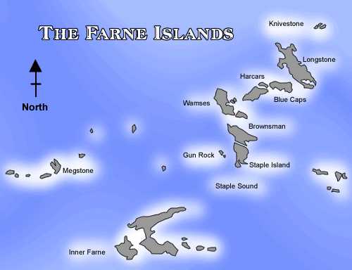 Farne Islands 98408