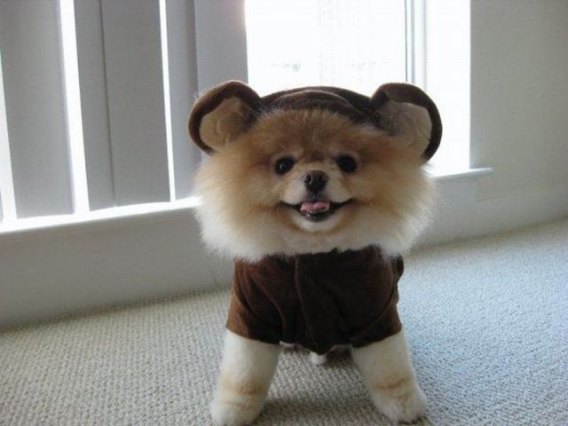  (640x480, 37Kb)