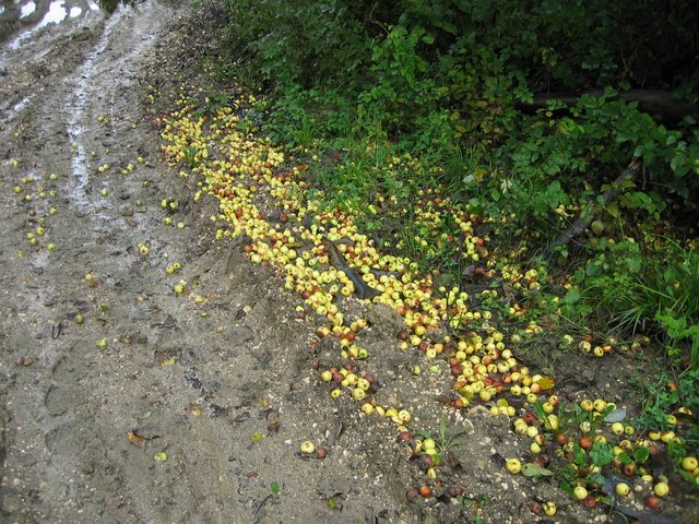 (640x480, 166Kb)