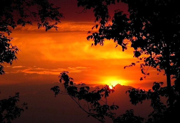 65832269_photo.jpg