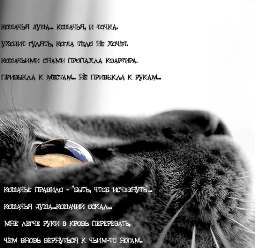 (514x500, 132Kb)