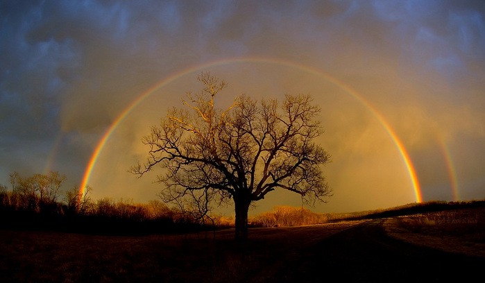 Потрясающе красивое фото радуги (699x408, 99Kb)