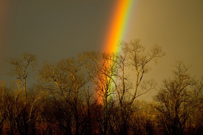 Потрясающе красивое фото радуги (700x466, 173Kb)