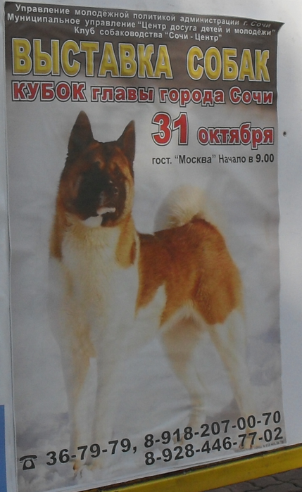 , (429x699, 395Kb) ,