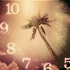  (100x100, 19Kb)
