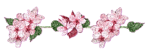 (306x103, 22Kb)