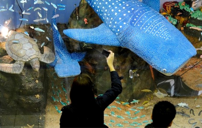 'Аквариум Cладостей' ('Sweets Aquarium') представили в Осаке, Япония, 5 ноября 2010 года.