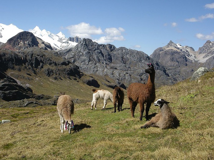 Кордильера Уайуаш (Huayhuash) 74739