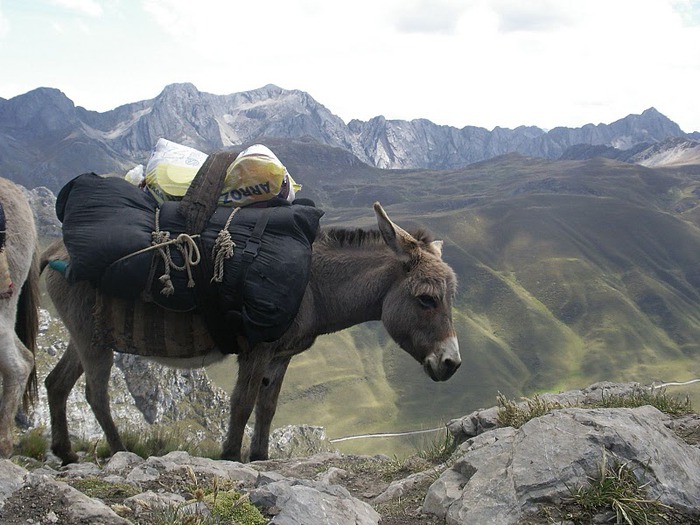 Кордильера Уайуаш (Huayhuash) 75494