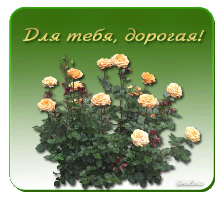 http://img0.liveinternet.ru/images/attach/c/2//66/434/66434660_dlya_tebya_dorogaya_1.gif