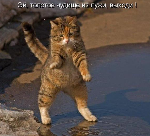 31 вещь , которую убил Интернет