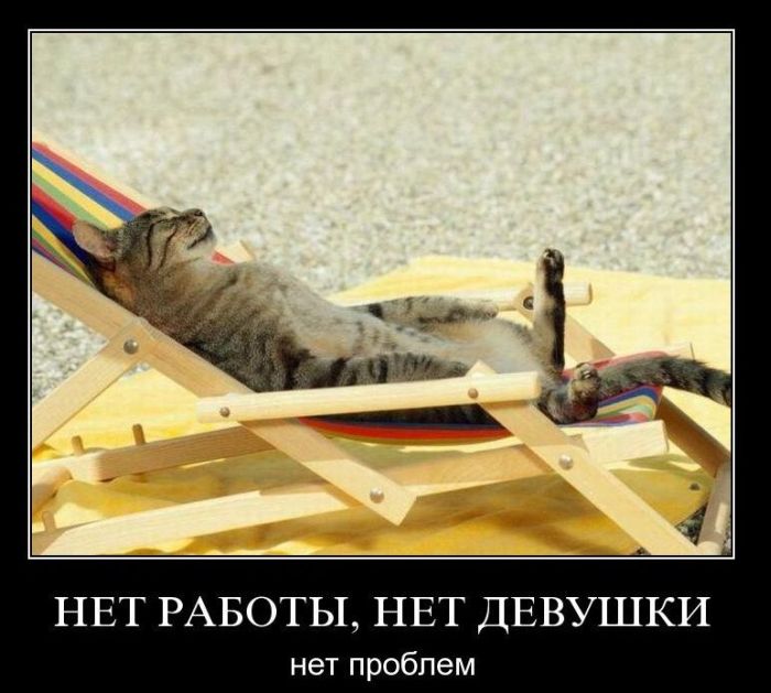 Подборка демотиваторов dem (700x629, 69 Kb)