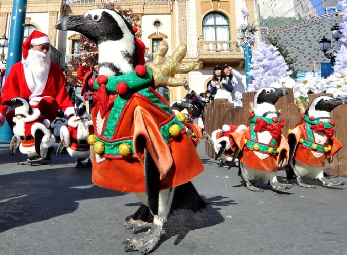 Пингвины в парке развлечений Everland в Йонъин, Южная Корея, 16 ноября 2010 года.