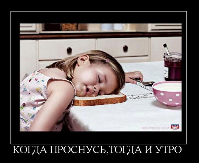 Подборка демотиваторов (700x573, 55Kb)