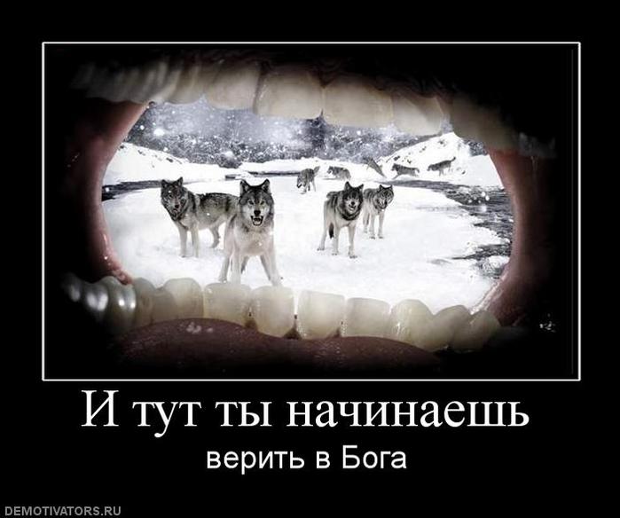 Подборка демотиваторов (699x584, 42Kb)