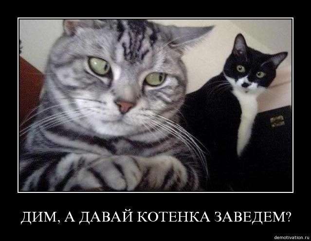 Подборка демотиваторов (639x496, 34Kb)