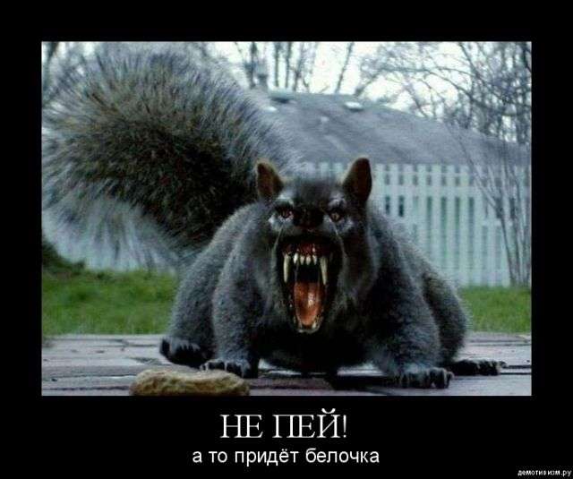 Подборка демотиваторов (640x535, 36Kb)