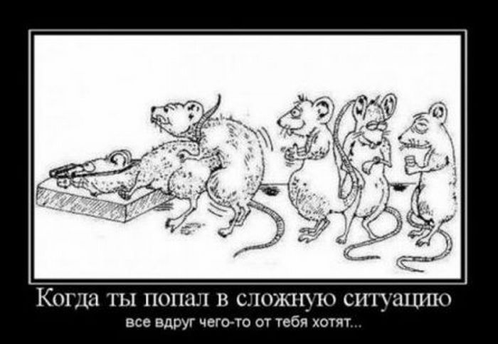 Подборка демотиваторов (700x483, 54Kb)
