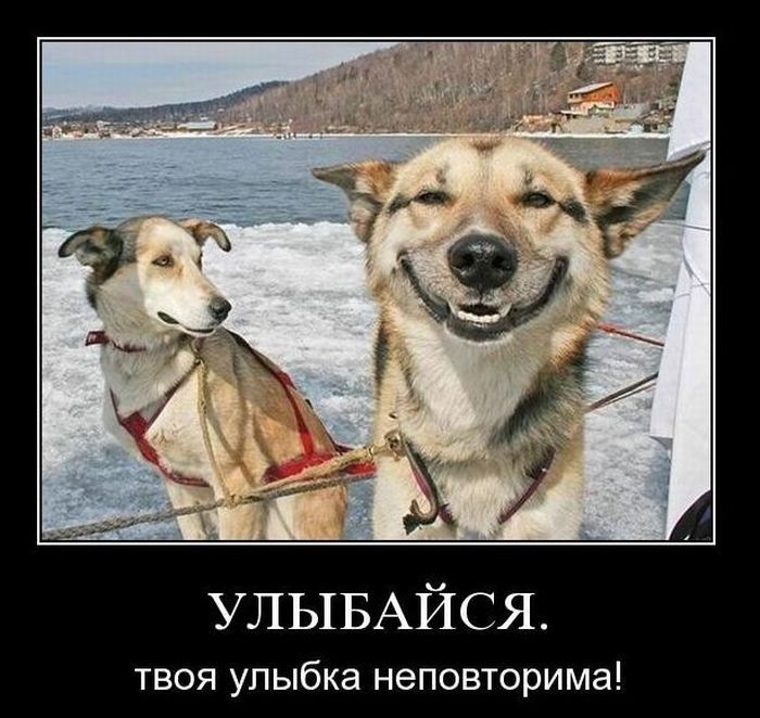 Подборка демотиваторов (700x662, 86Kb)