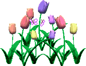  (170x130, 37Kb)