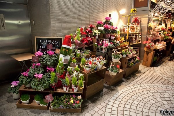 Рождественский Токио Shinjuku-Christmas-2010-099-600x400 (Shinjuku Florists)