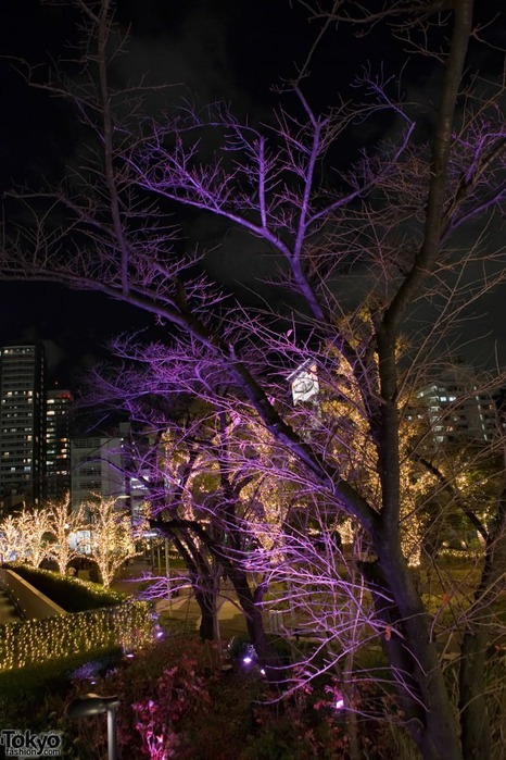 Рождественский Токио Roppongi-Christmas-2010-007-G2728-600x900 (Roppongi Christmas Lights)
