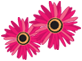  (82x61, 9Kb)