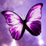  (150x150, 27Kb)