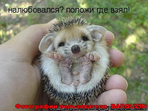  (480x360, 35Kb)