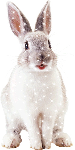 68457918_731982 (250x500, 135 Kb)