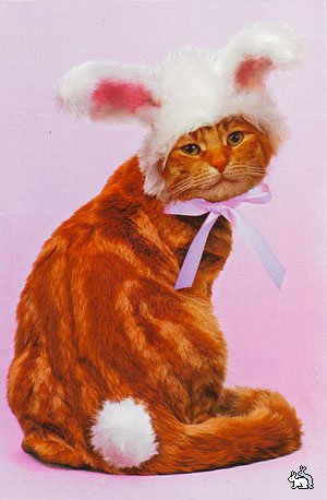 1262980531_mailcards_msk_ru_074 (300x458, 29 Kb)