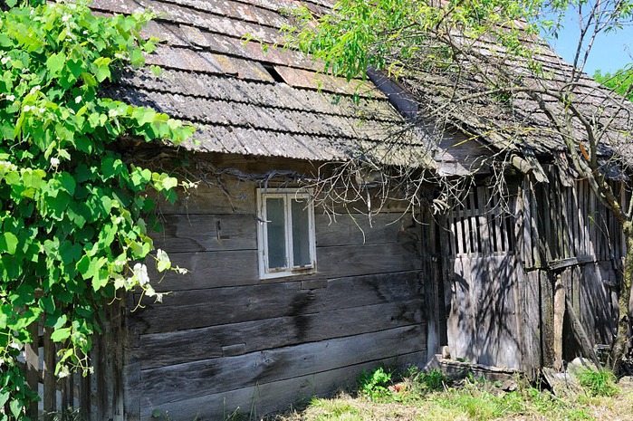 Деревянные дома в заповедном болоте - «Лоньско поле» 16835