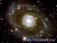  (200x150, 20Kb)