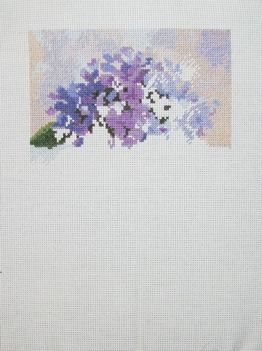 Dimensions. Hydrangea in Bloom (374x500, 102Kb)