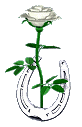 42548370_f5_L (82x127, 42 Kb)