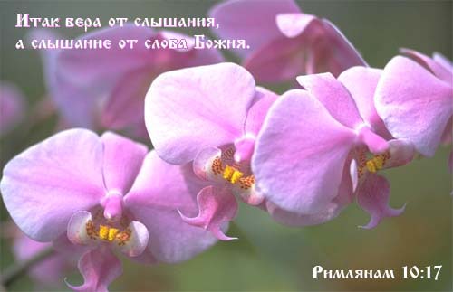 Христианские открытки 69768228_1296004543_verses9b