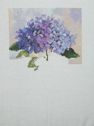 Dimensions. Hydrangea in Bloom (374x500, 109Kb)