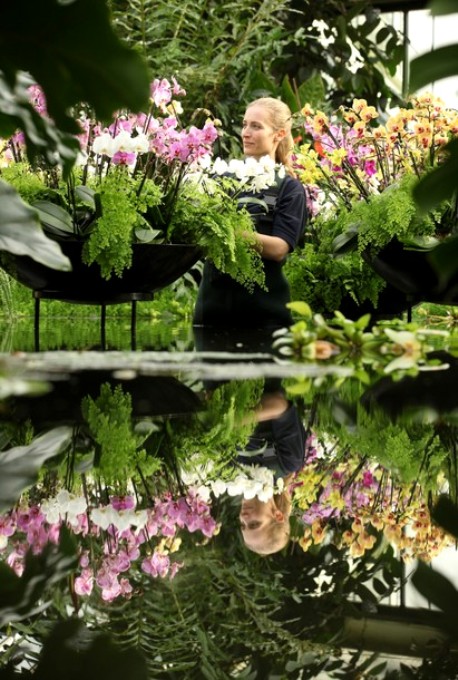 Экзотика тропиков на фестивале в Кью Гарденс (Kew Gardens), Лондон, 3 февраля 2011 года.