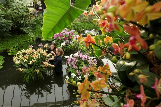 Экзотика тропиков на фестивале в Кью Гарденс (Kew Gardens), Лондон, 3 февраля 2011 года.