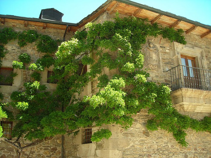 Понферрада (Castillo de Ponferrada) - Замок тамплиеров 48874