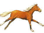  (150x113, 25Kb)