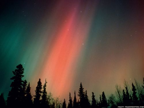 (500x375, 17Kb)